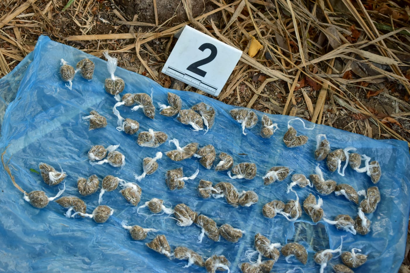 Autoridades decomisan armas y droga pertenecientes a las estructura MS13 autoridades-decomisan-armas-y-droga-pertenecientes-a-las-estructura-ms13